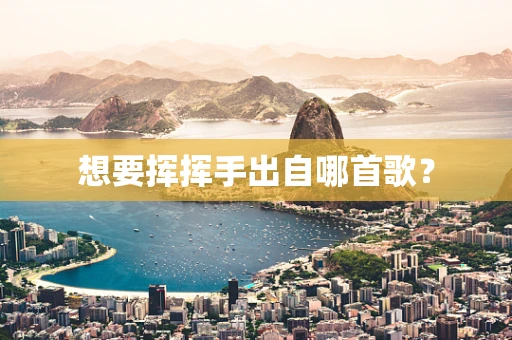 想要挥挥手出自哪首歌？