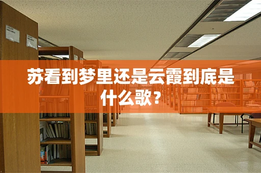 苏看到梦里还是云霞到底是什么歌？