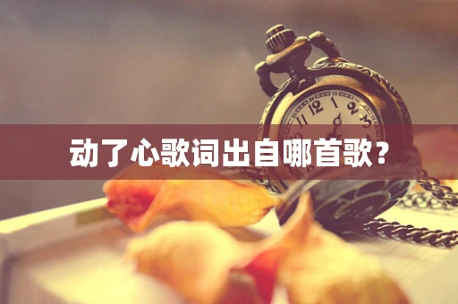动了心歌词出自哪首歌？