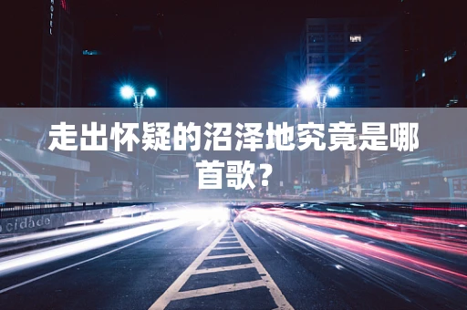 走出怀疑的沼泽地究竟是哪首歌？