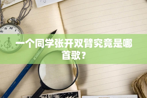 一个同学张开双臂究竟是哪首歌？