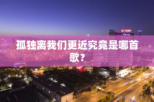 孤独离我们更近究竟是哪首歌？