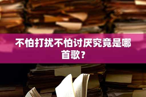 不怕打扰不怕讨厌究竟是哪首歌？