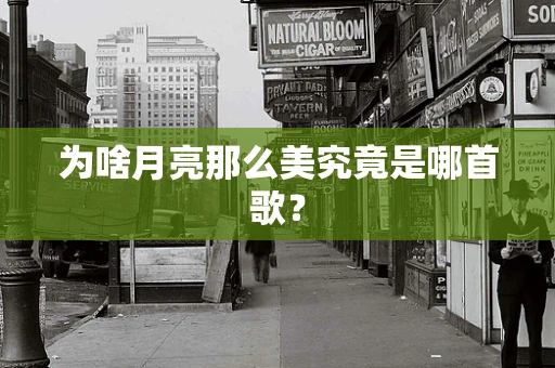 为啥月亮那么美究竟是哪首歌？