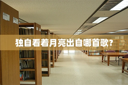 独自看着月亮出自哪首歌？