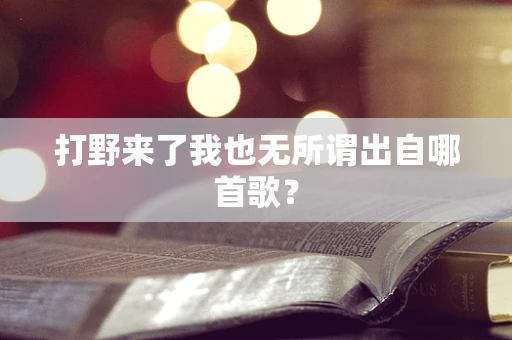 打野来了我也无所谓出自哪首歌？