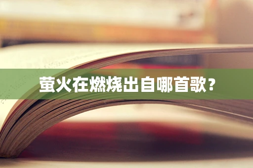 萤火在燃烧出自哪首歌？