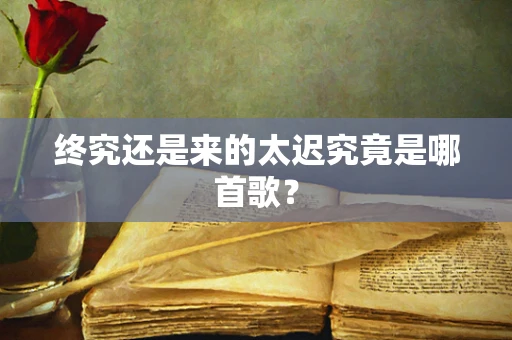 终究还是来的太迟究竟是哪首歌？