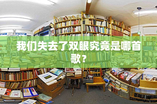 我们失去了双眼究竟是哪首歌？