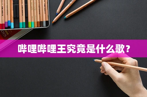 哔哩哔哩王究竟是什么歌？