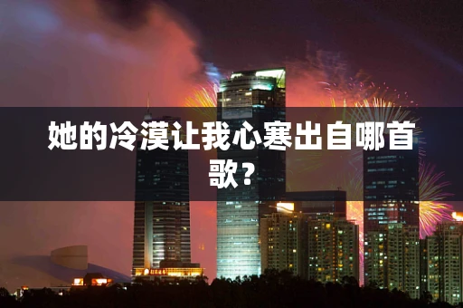 她的冷漠让我心寒出自哪首歌？