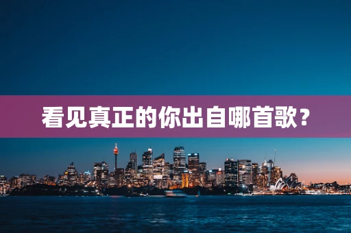 看见真正的你出自哪首歌？