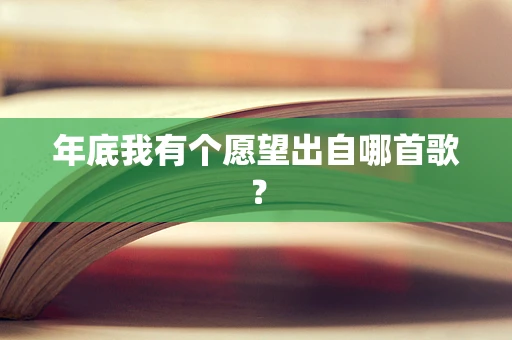 年底我有个愿望出自哪首歌？