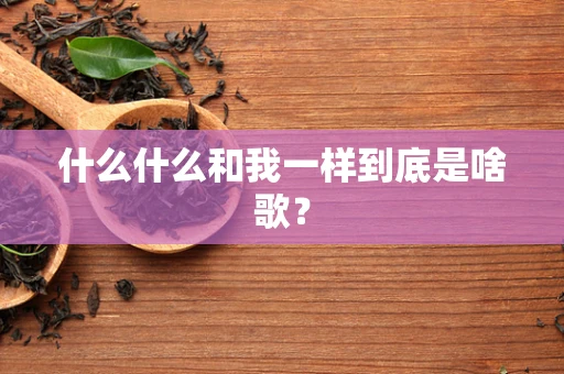 什么什么和我一样到底是啥歌？