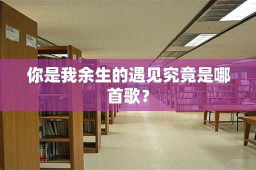 你是我余生的遇见究竟是哪首歌？