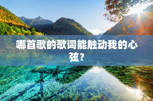哪首歌的歌词能触动我的心弦？