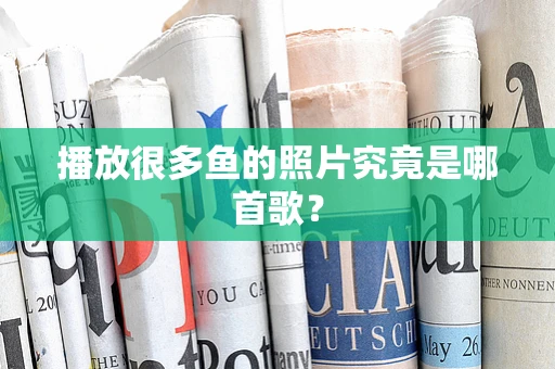 播放很多鱼的照片究竟是哪首歌？