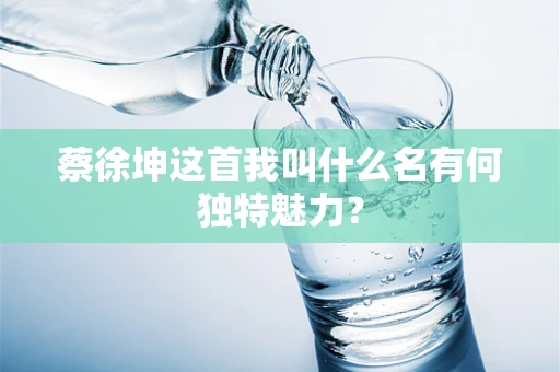 蔡徐坤这首我叫什么名有何独特魅力？