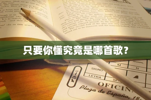 只要你懂究竟是哪首歌？