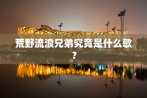 荒野流浪兄弟究竟是什么歌？