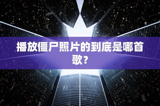 播放僵尸照片的到底是哪首歌？