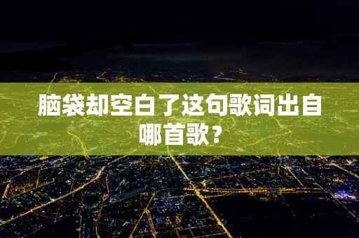 脑袋却空白了这句歌词出自哪首歌？