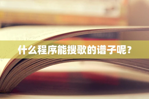 什么程序能搜歌的谱子呢？
