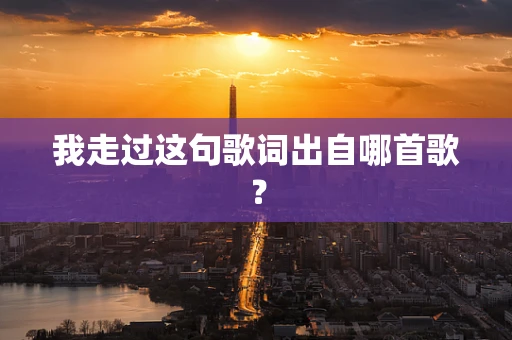 我走过这句歌词出自哪首歌？