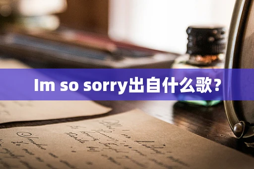 Im so sorry出自什么歌？