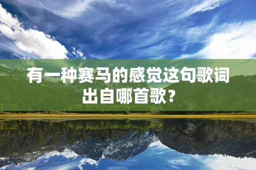 有一种赛马的感觉这句歌词出自哪首歌？