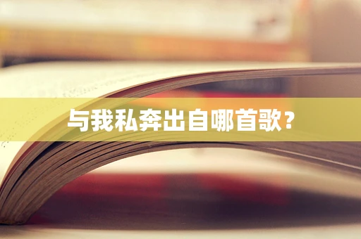与我私奔出自哪首歌？