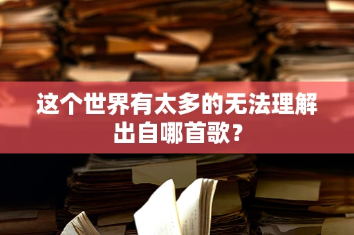 这个世界有太多的无法理解出自哪首歌？