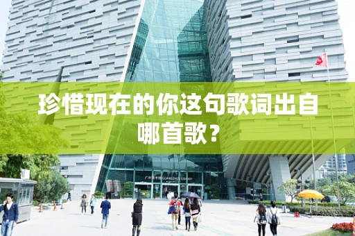 珍惜现在的你这句歌词出自哪首歌？