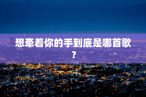 想牵着你的手到底是哪首歌？