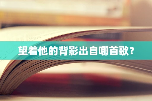 望着他的背影出自哪首歌？