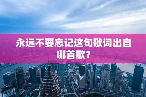 永远不要忘记这句歌词出自哪首歌？
