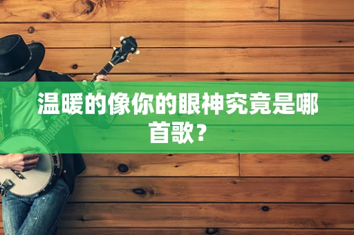 温暖的像你的眼神究竟是哪首歌？