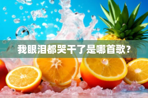 我眼泪都哭干了是哪首歌？