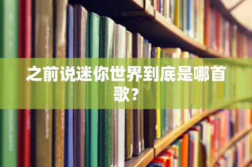 之前说迷你世界到底是哪首歌？