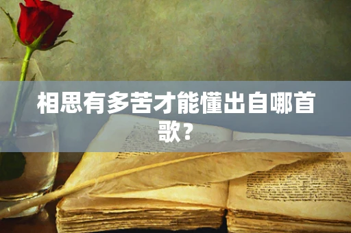相思有多苦才能懂出自哪首歌？
