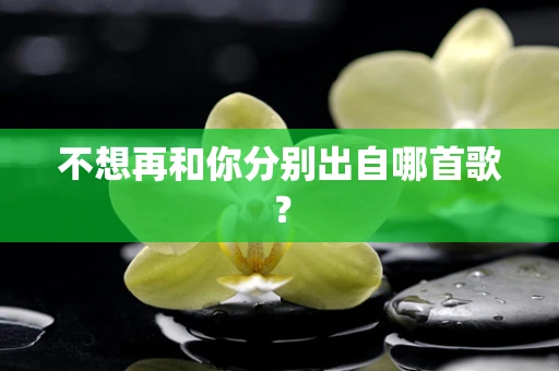 不想再和你分别出自哪首歌？