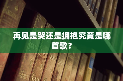 再见是哭还是拥抱究竟是哪首歌？