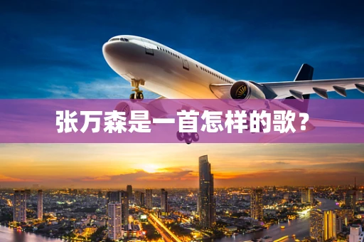 张万森是一首怎样的歌？