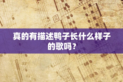 真的有描述鸭子长什么样子的歌吗？
