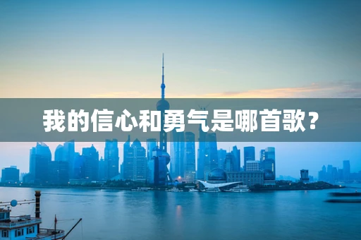 我的信心和勇气是哪首歌？