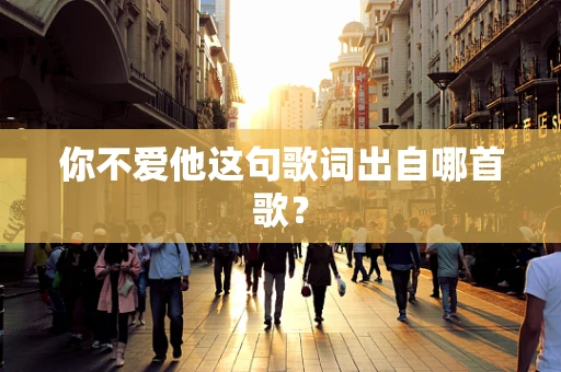 你不爱他这句歌词出自哪首歌？