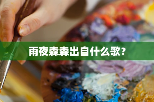 雨夜森森出自什么歌？