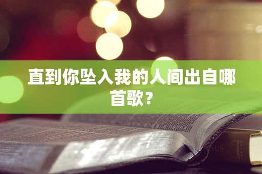 直到你坠入我的人间出自哪首歌？
