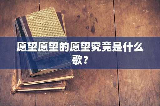 愿望愿望的愿望究竟是什么歌？