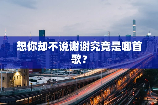 想你却不说谢谢究竟是哪首歌？